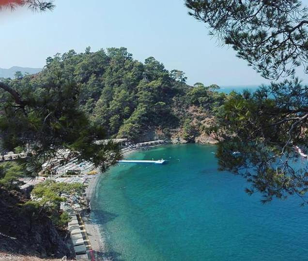 Turtle Apart Aparthotel Φετιγιέ Εξωτερικό φωτογραφία
