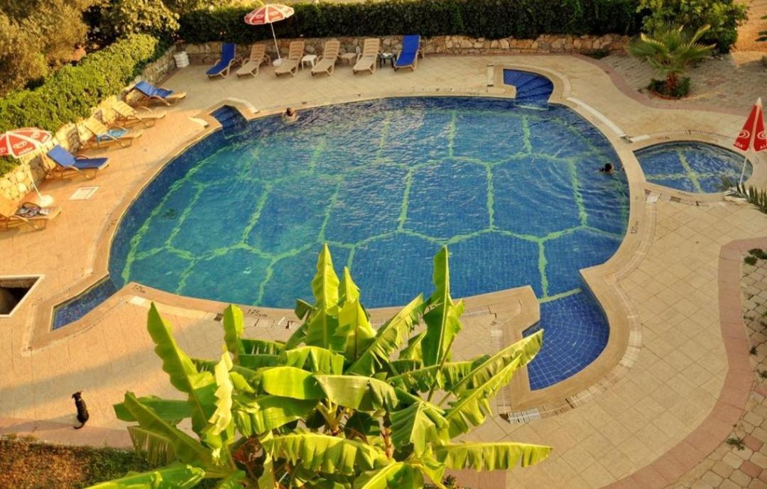 Turtle Apart Aparthotel Φετιγιέ Εξωτερικό φωτογραφία